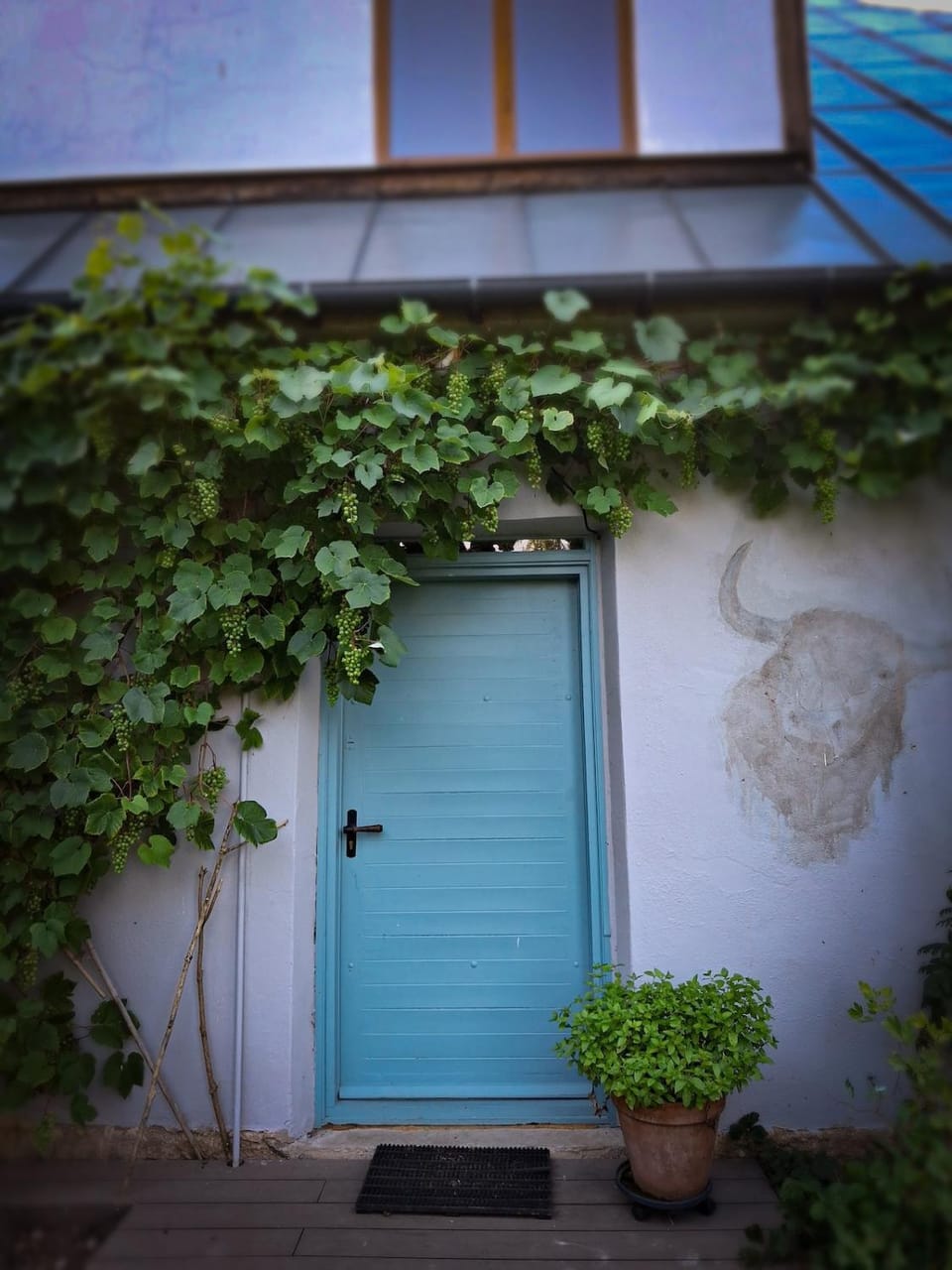 Nature Lovers House Apartment in Lithuania