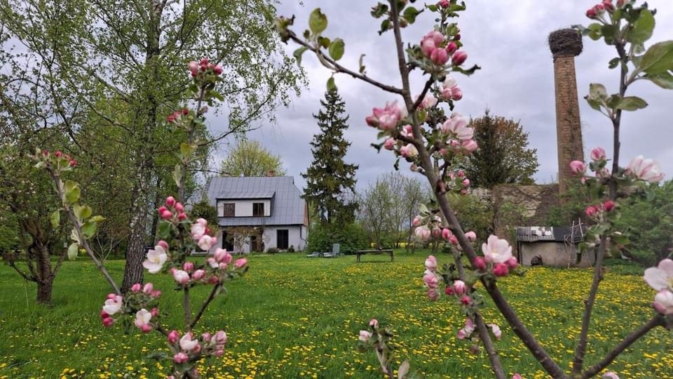 Nature Lovers House Apartment in Lithuania