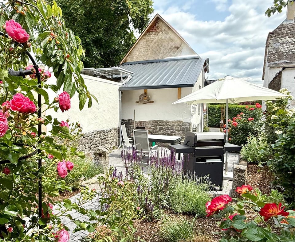Garden, Balcony/Terrace