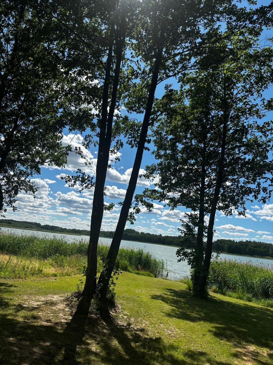 Spring, Natural landscape, Lake view