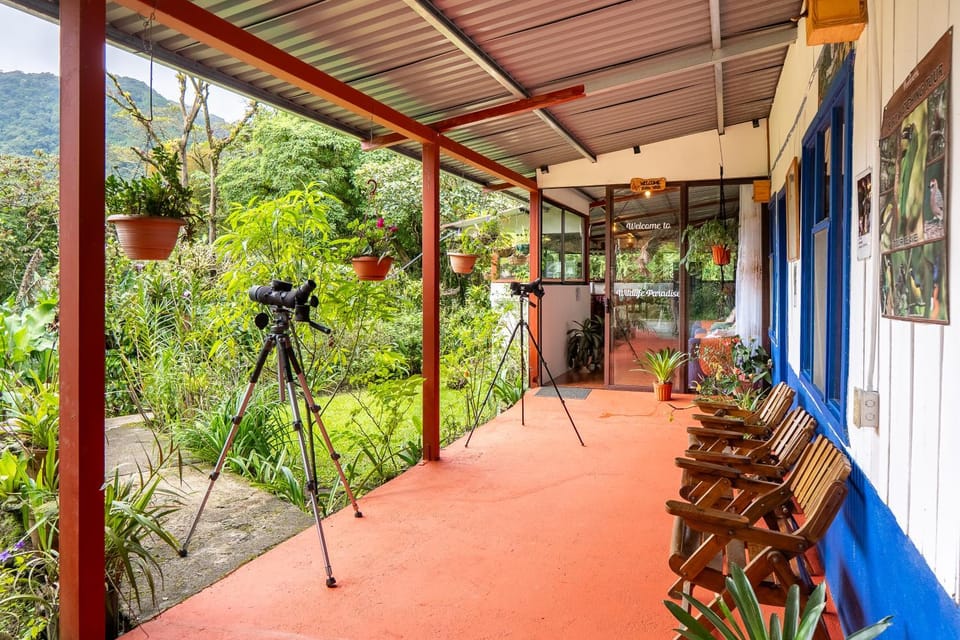 Patio, Garden, Garden view