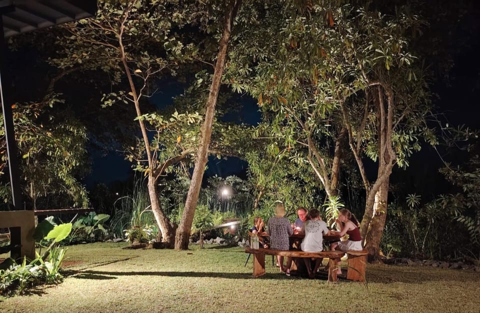 Night, Garden, Garden view, Dinner, group of guests