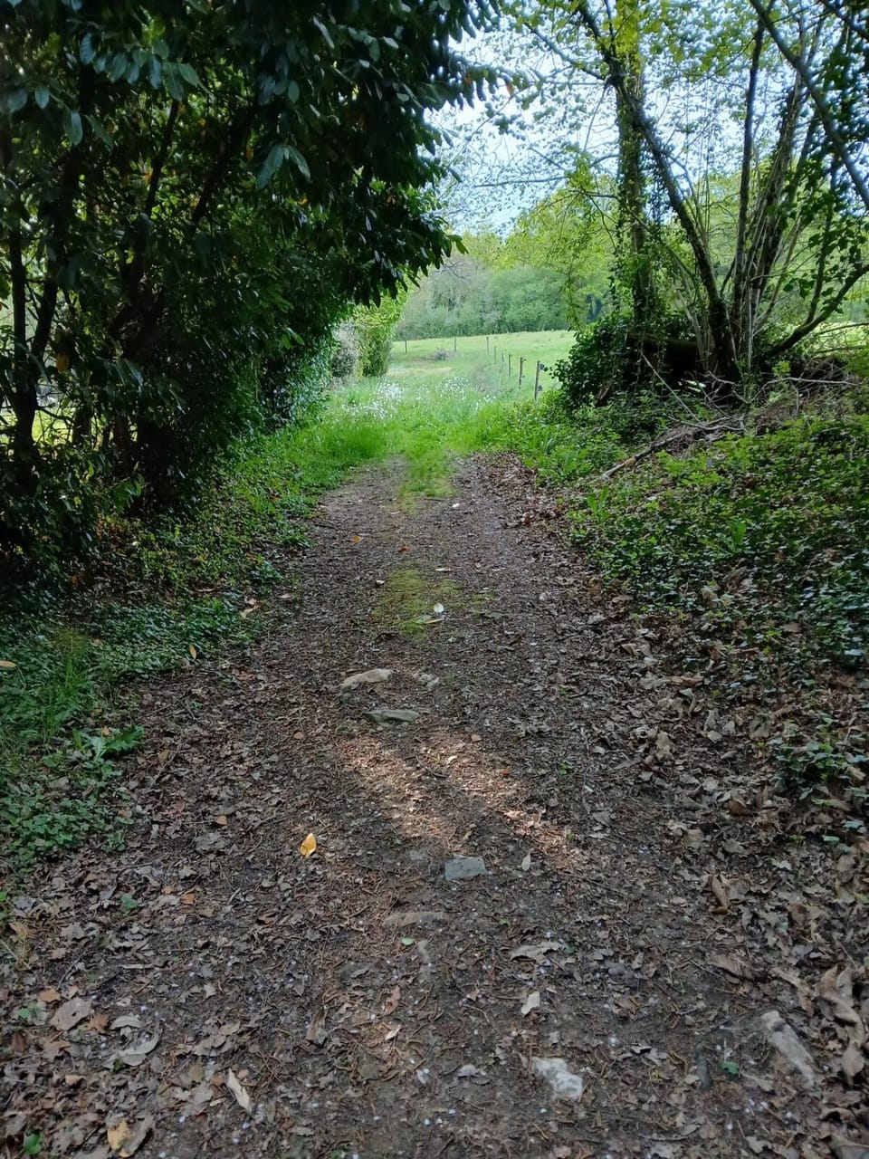 Natural landscape