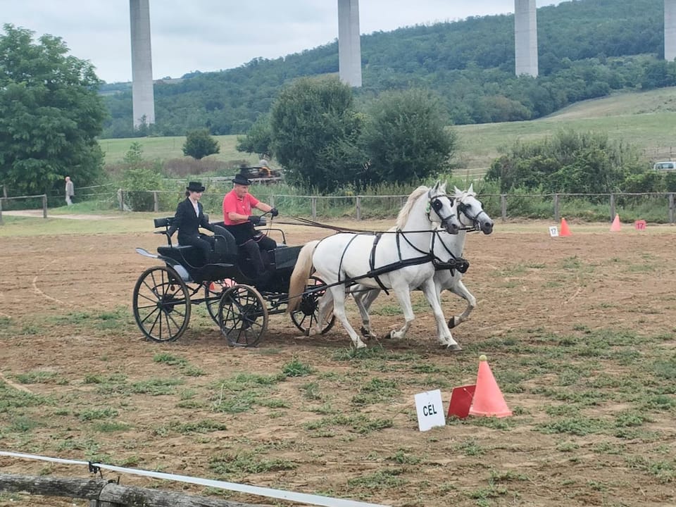 Horse-riding