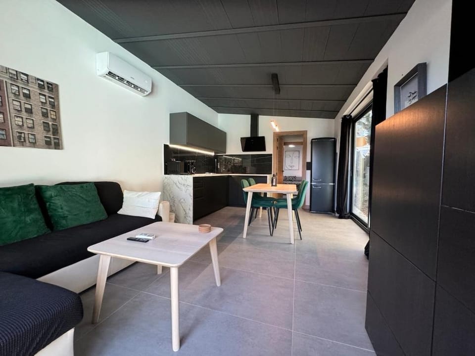 Kitchen or kitchenette, Living room, Dining area, air conditioner