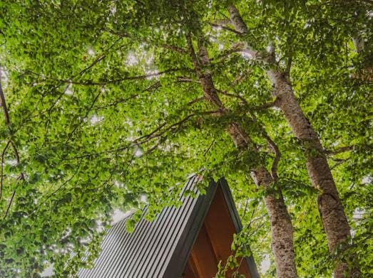 Eko Kamp Luke - Lukavica, Nikšić Country House in Montenegro