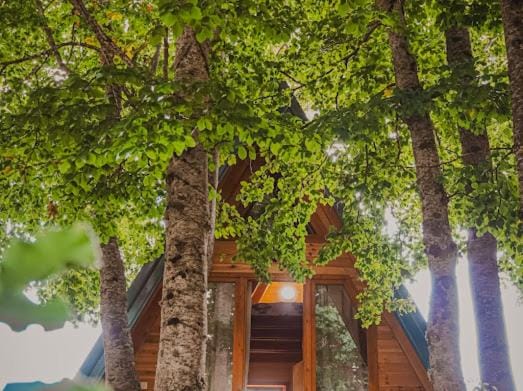 Eko Kamp Luke - Lukavica, Nikšić Country House in Montenegro