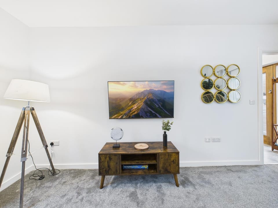 TV and multimedia