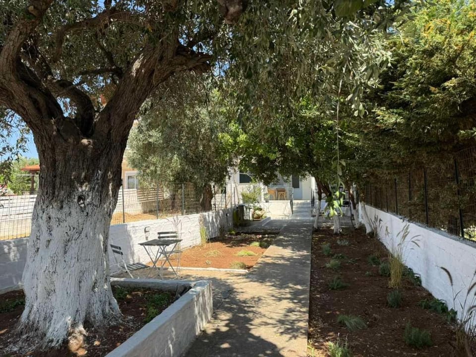 Thassos Soul House in Thasos