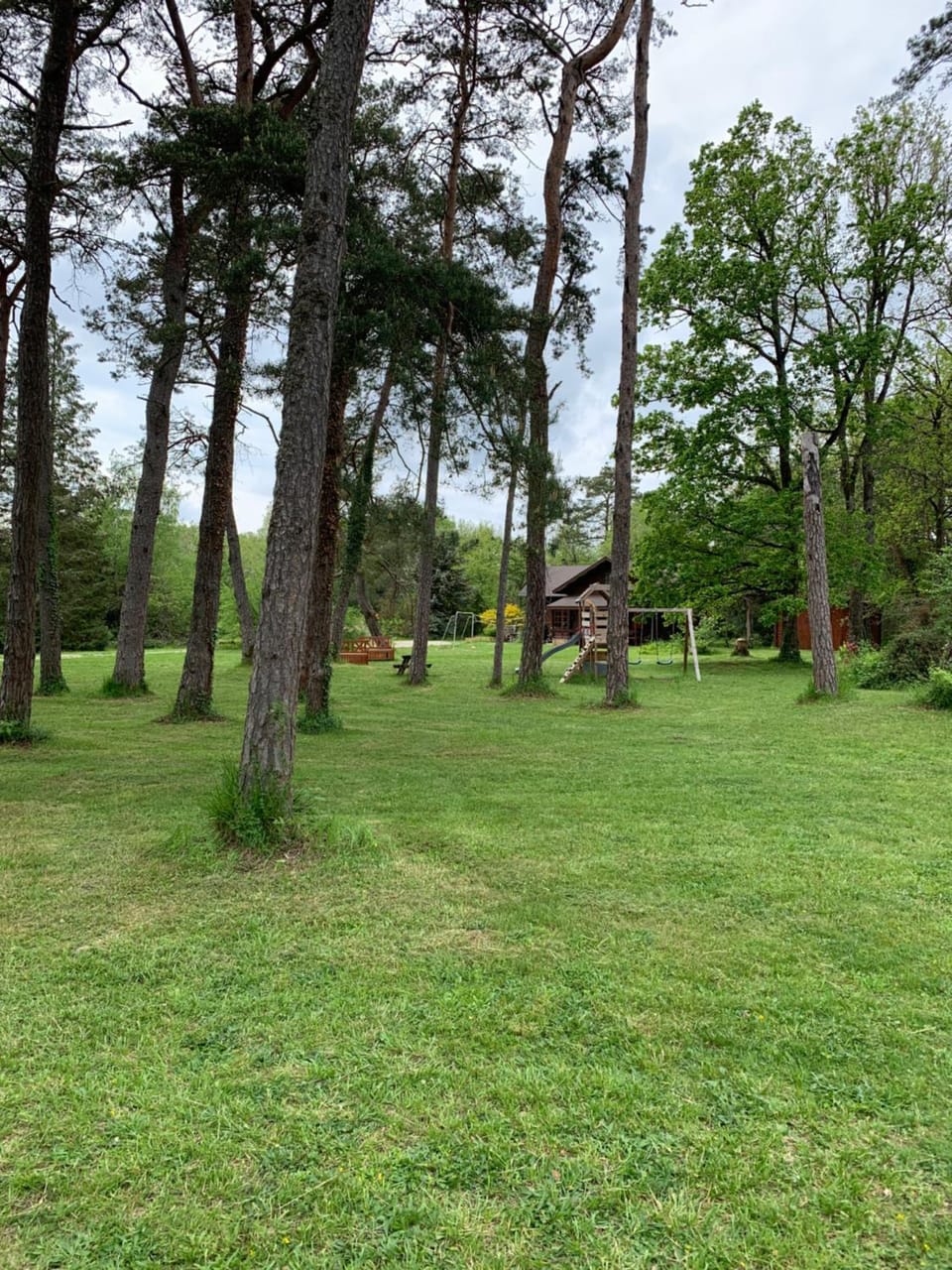 Natural landscape, Garden