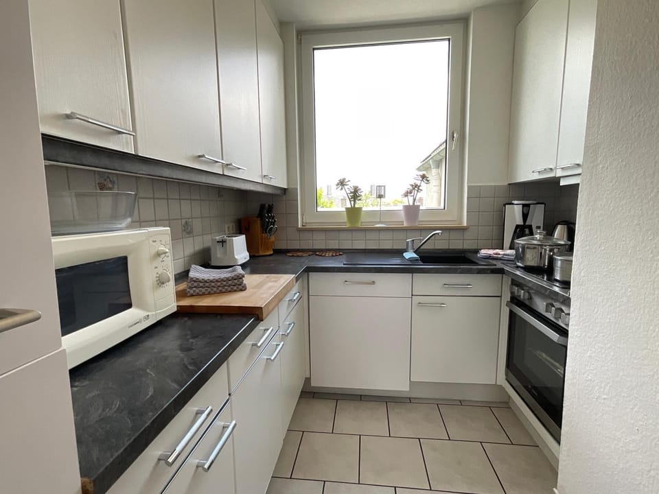 Kitchen or kitchenette, kitchen