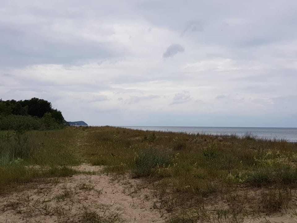 Natural landscape