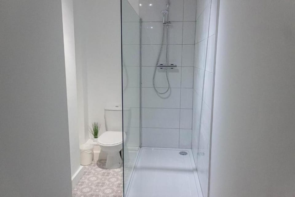 Cozy and Modern 2-bed apartment Apartment in Swansea
