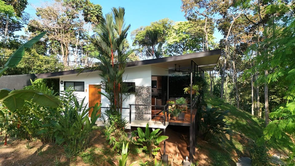 Property building, Garden, Garden view