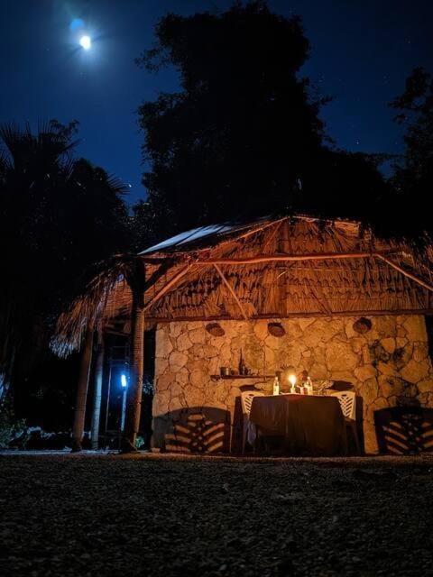 Exclusive Treehouse and Cenote - Sweet Jungle Dreams Luxury tent in State of Quintana Roo