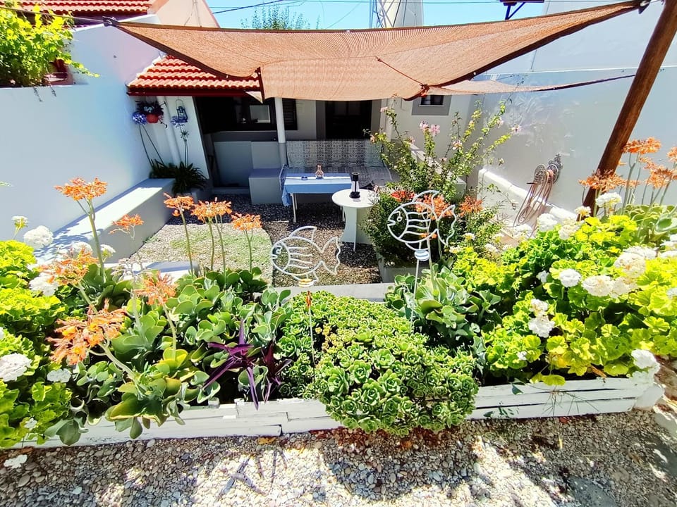 Day, Garden, Garden view