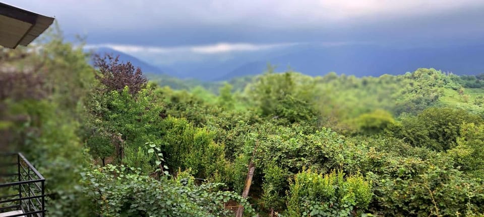 Spring, Day, Natural landscape, Garden, Garden view