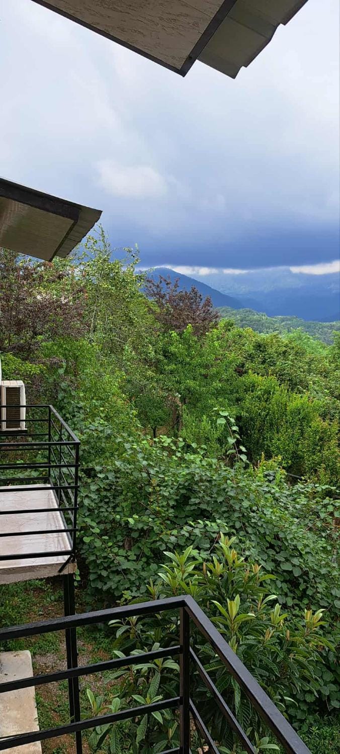 Spring, Day, Natural landscape, View (from property/room), Balcony/Terrace, Mountain view