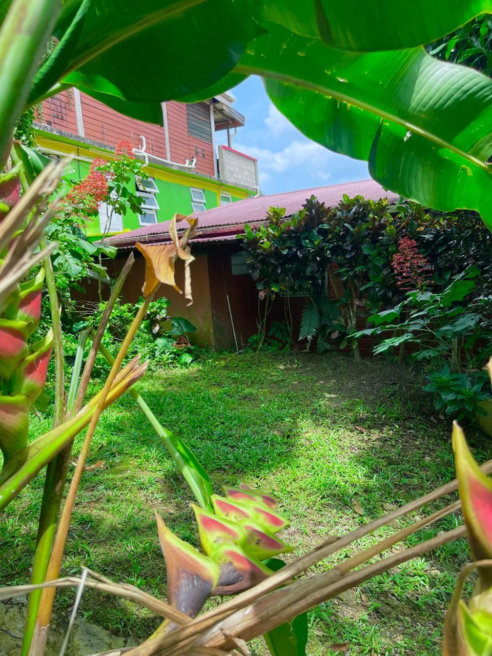 Garden, Garden view