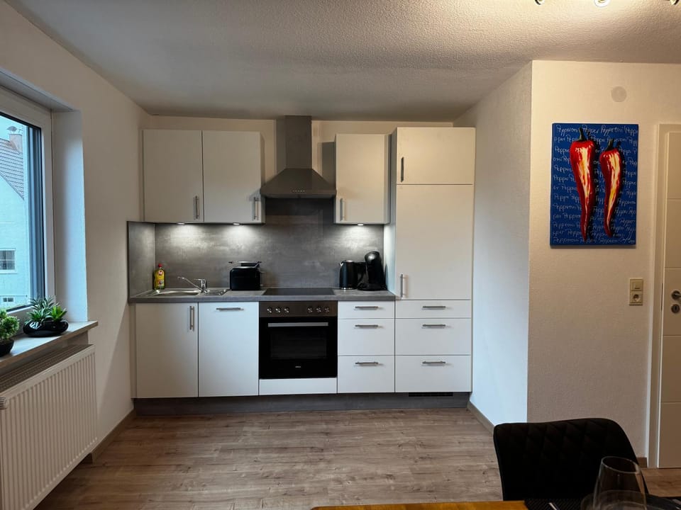Kitchen or kitchenette, dishwasher, stove