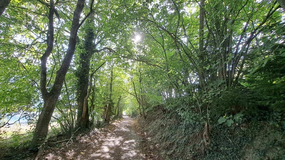 Hiking