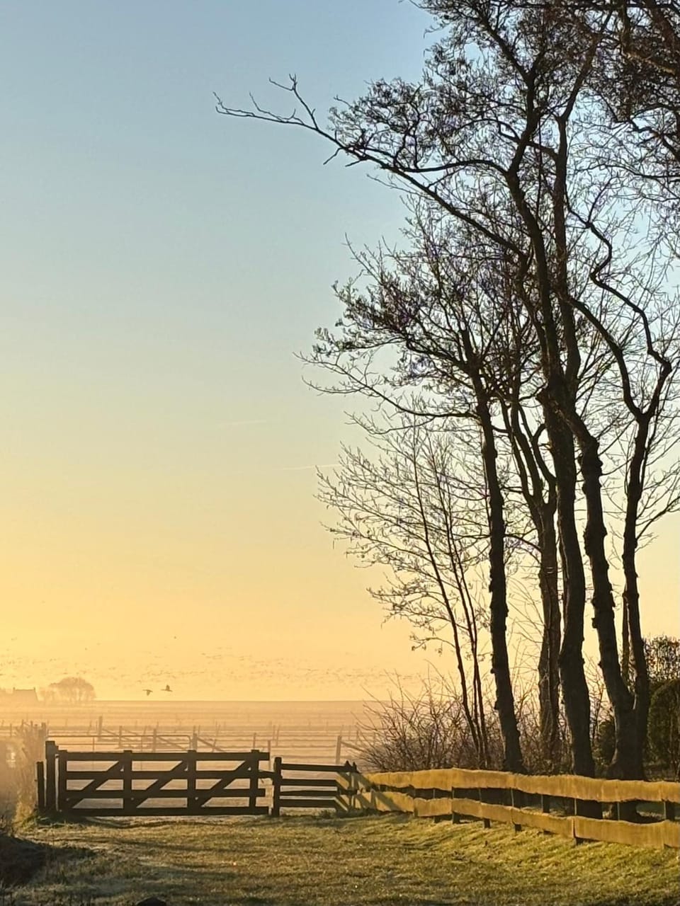 Ut ânker fan de Jong Bed and Breakfast in Friesland, Netherlands