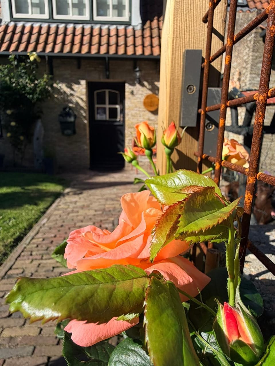 Ut ânker fan de Jong Bed and Breakfast in Friesland, Netherlands