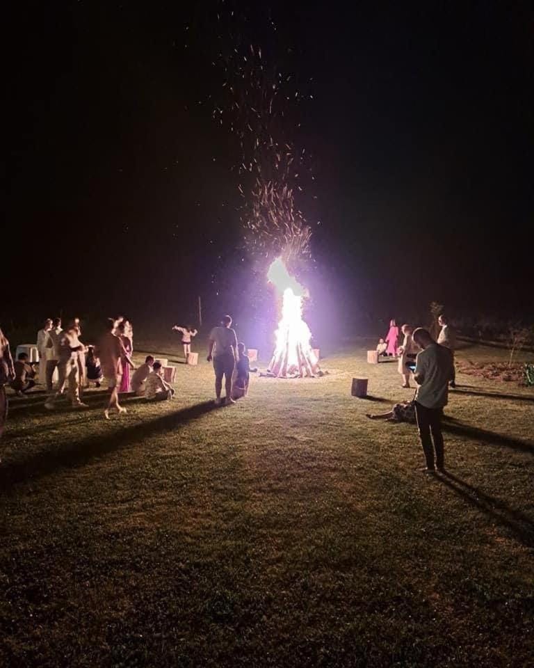 Night, People, group of guests
