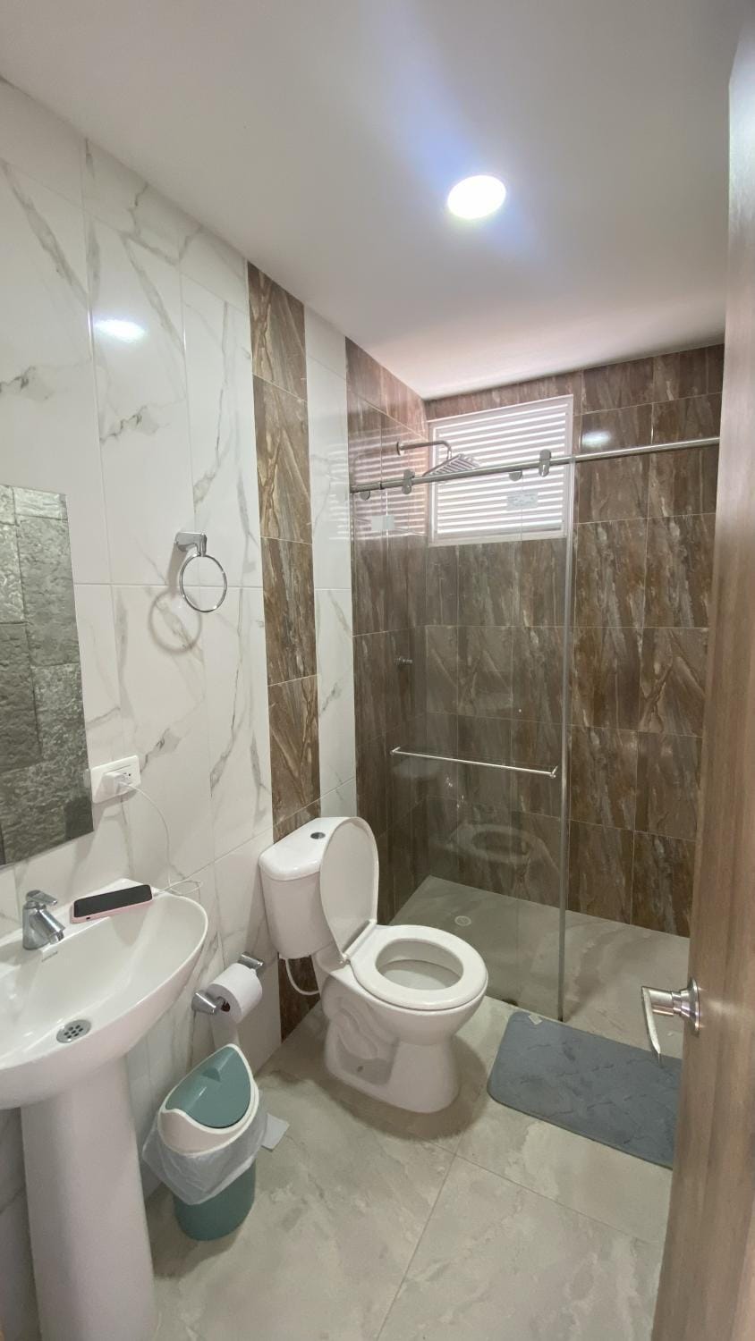 Shower, Bathroom, bidet