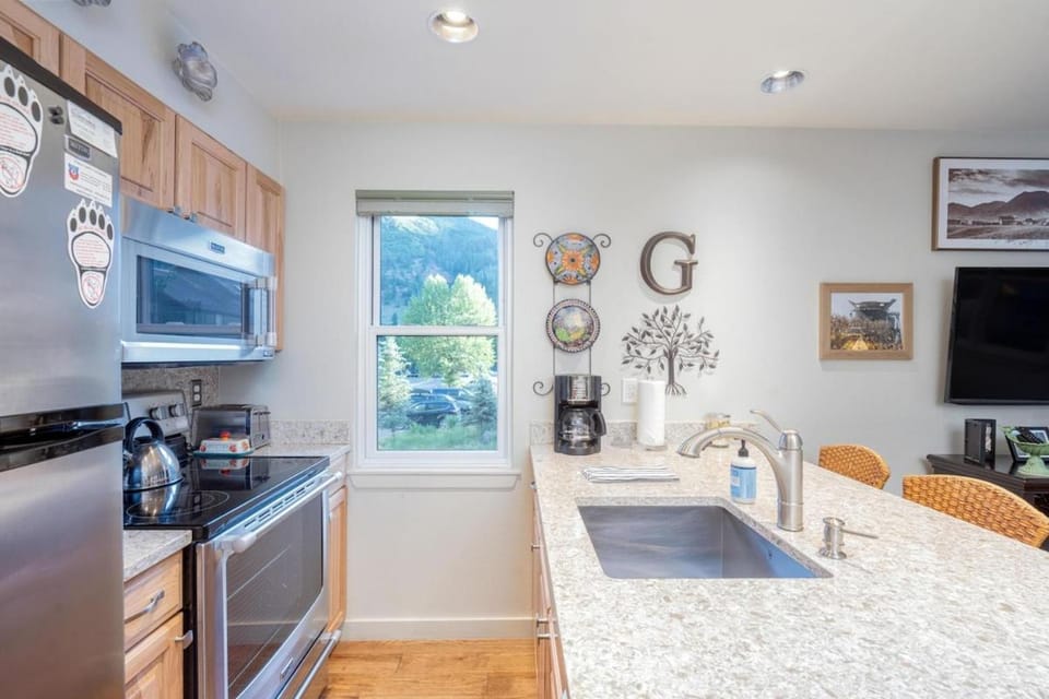 Etta Place 3 Ski In/Ski out 1 Bedroom Condo Apartment in Telluride