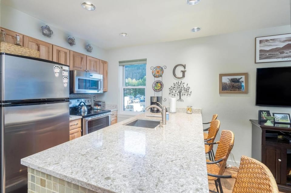 Etta Place 3 Ski In/Ski out 1 Bedroom Condo Apartment in Telluride