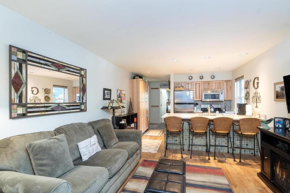 Etta Place 3 Ski In/Ski out 1 Bedroom Condo Apartment in Telluride