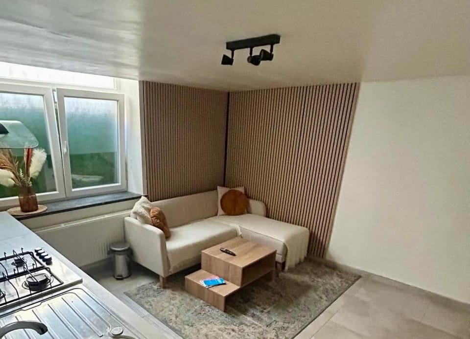 Le longue vie Apartment in Ixelles