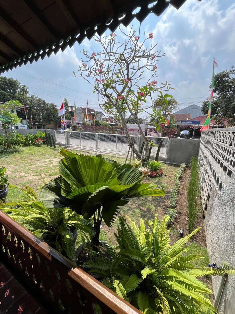Day, Garden view