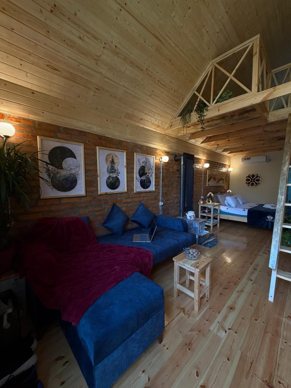 Bed, Living room, Photo of the whole room, Bedroom