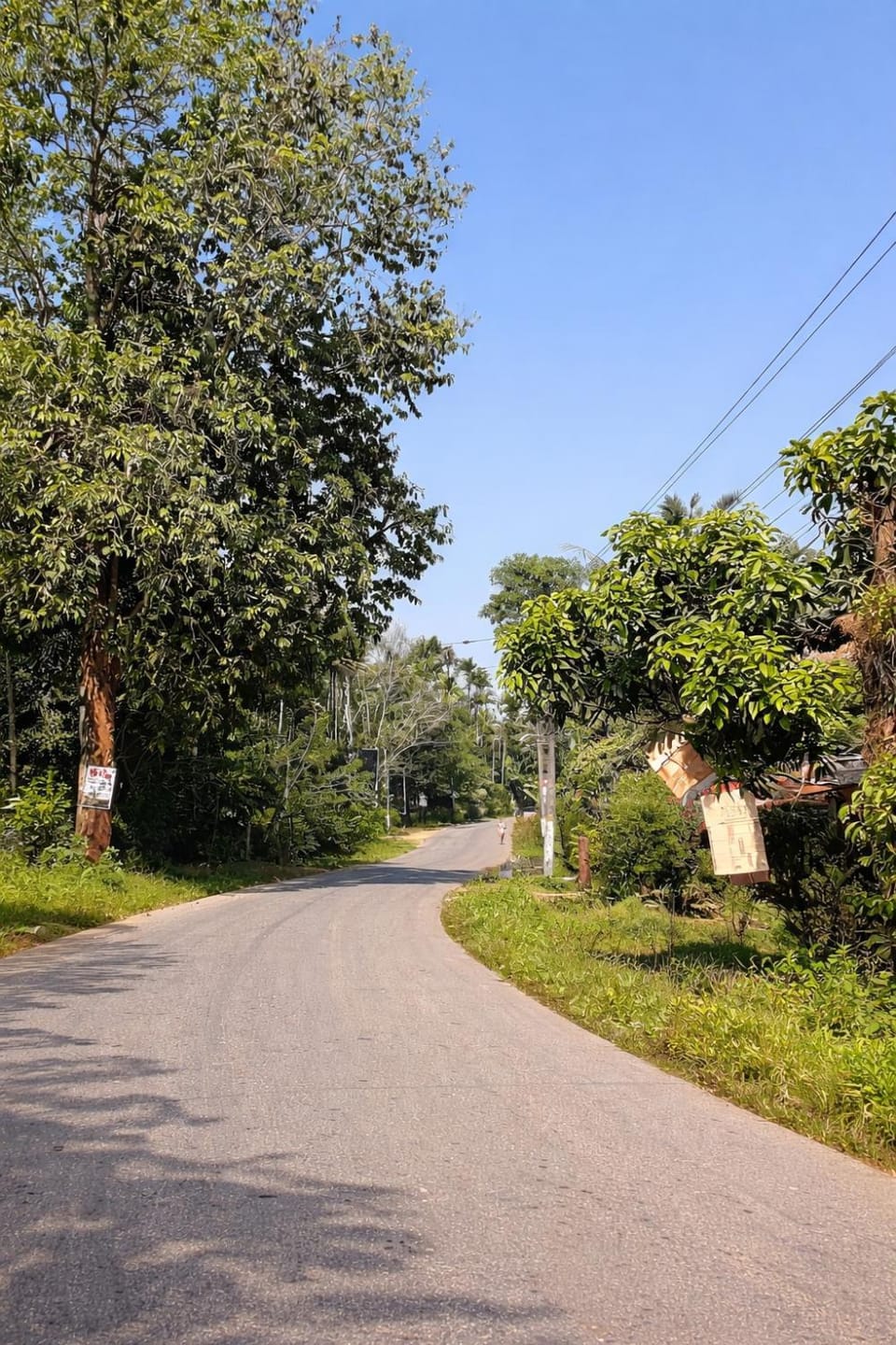 Neighbourhood, Natural landscape