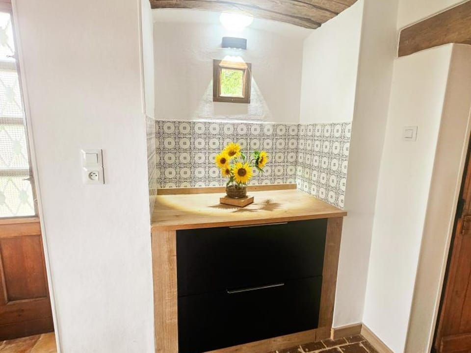Gîte authentique en Touraine, piscine chauffée, animaux admis - FR-1-381-632 House in Centre-Val de Loire
