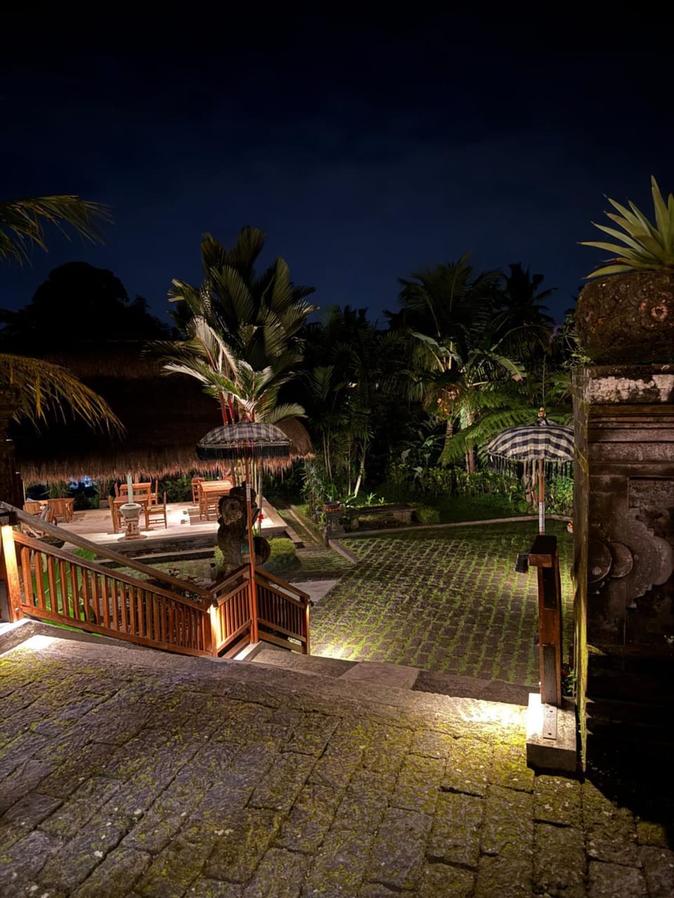 Night, Garden, Garden view
