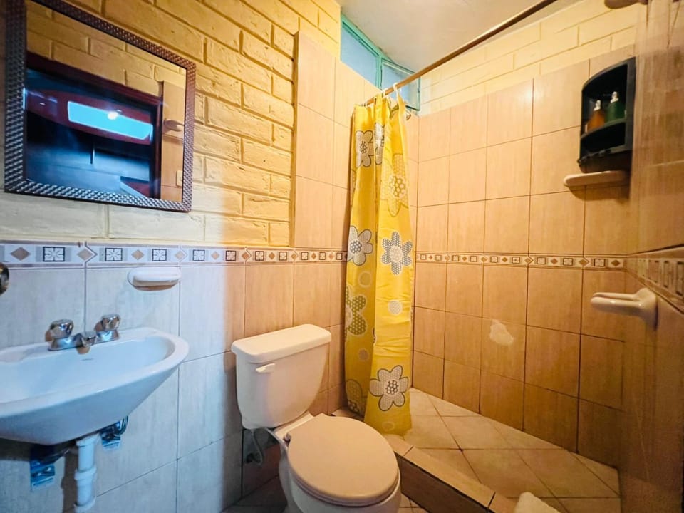 Shower, Toilet, Bathroom, Bath, towels