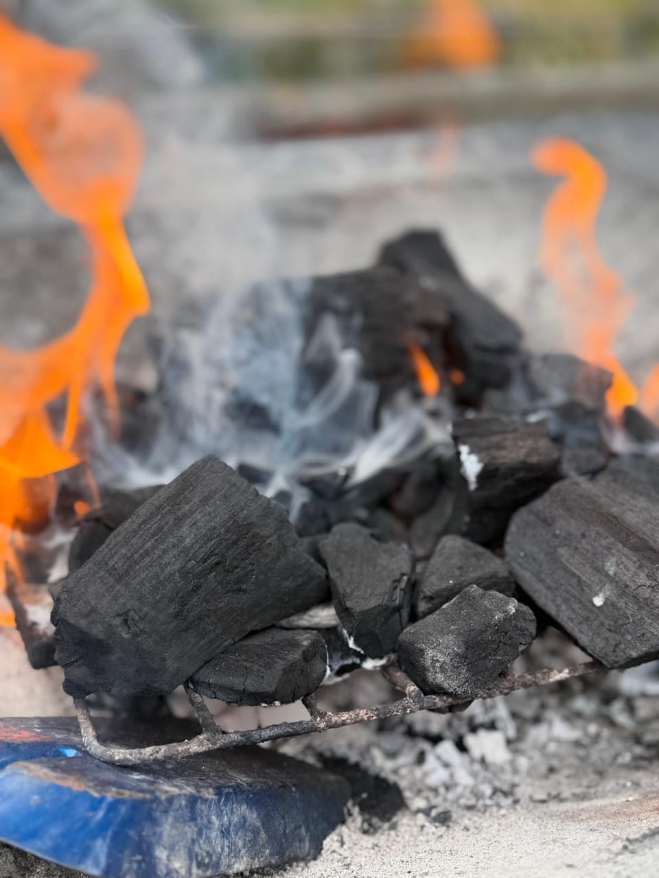 BBQ facilities
