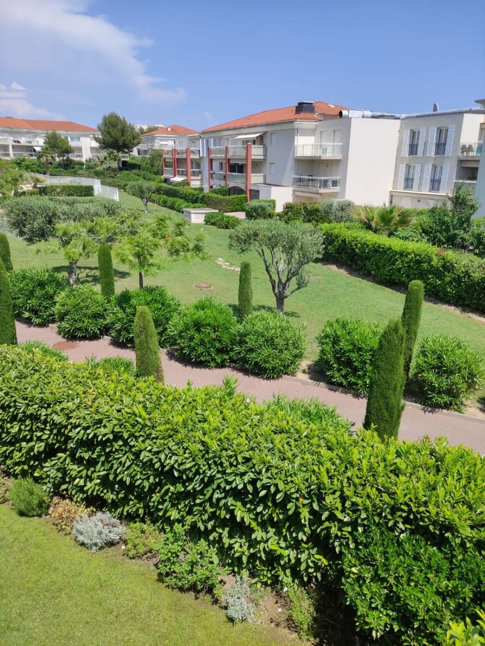 Natural landscape, Garden, Garden view