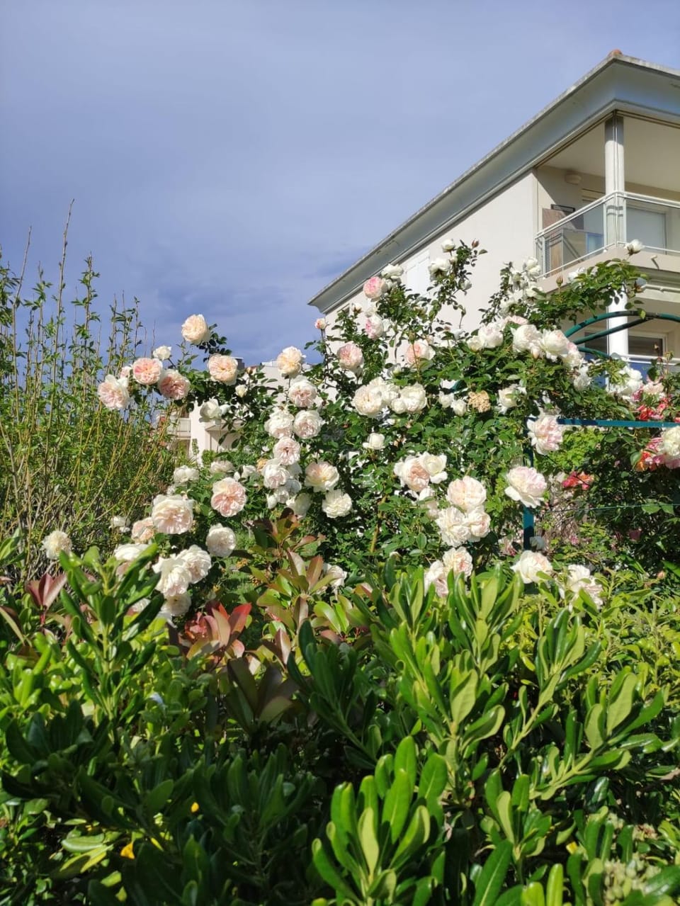 Garden, Garden view