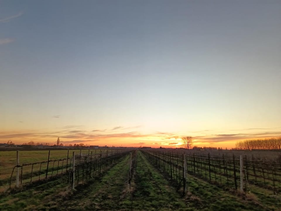 Natural landscape, Sunset