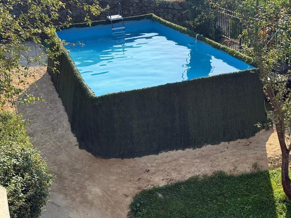 Day, Garden, Garden view, Pool view, Swimming pool