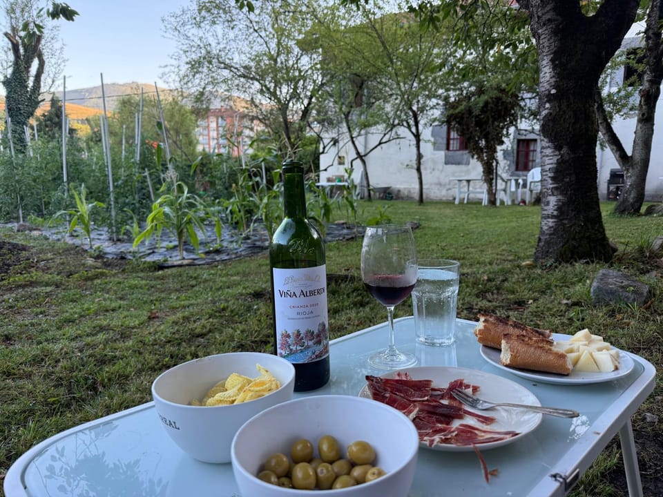 Day, Garden, Food and drinks, Food, Garden view, Lunch