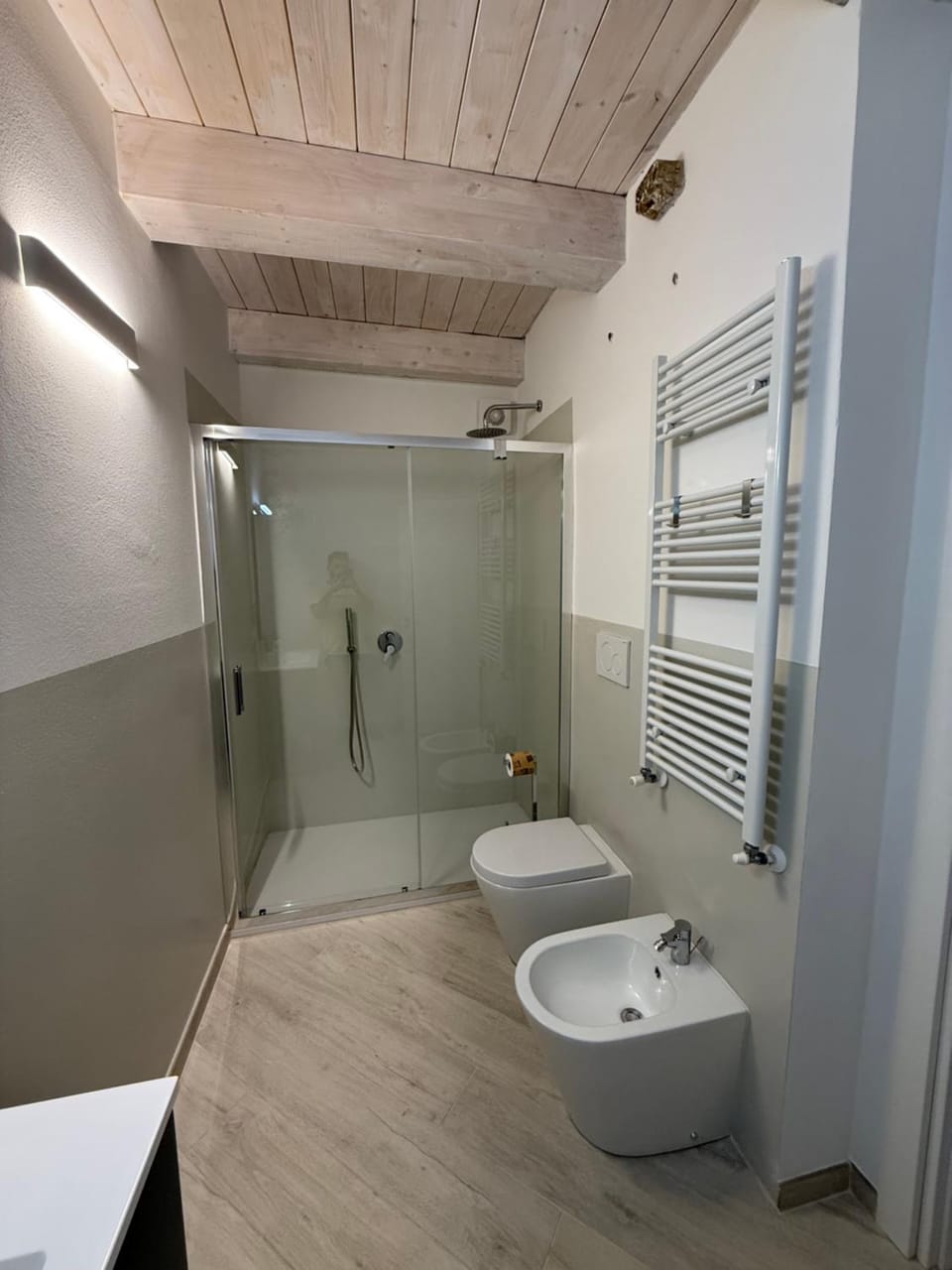 Shower, Toilet, Bathroom, bidet