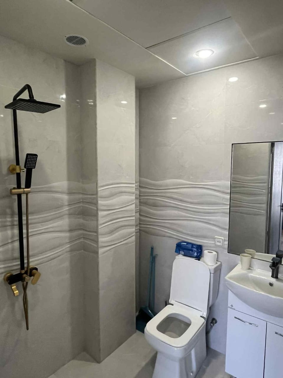 Shower, Toilet, Bathroom