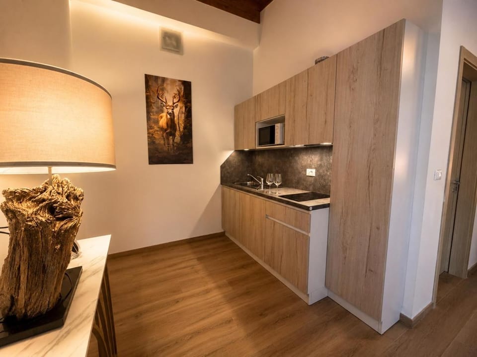 International Aparthotel Apartment in Tarvisio