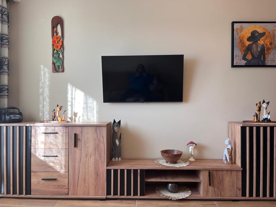 TV and multimedia
