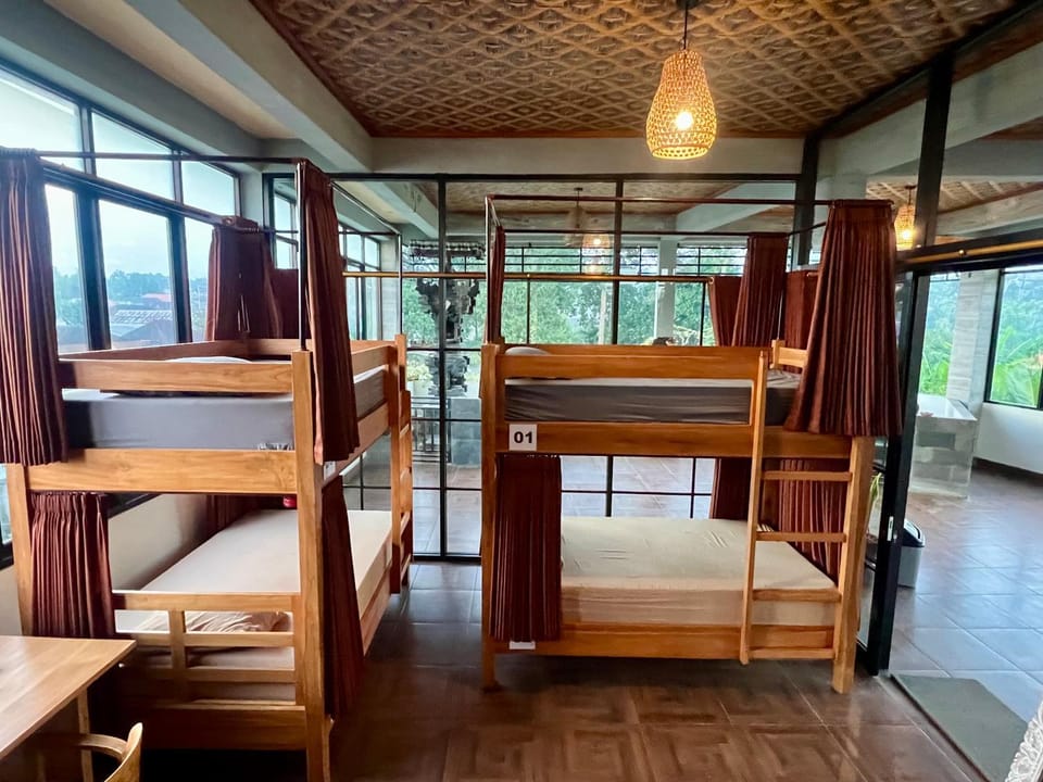 Bed, Photo of the whole room, bunk bed
